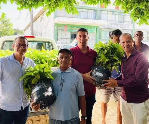 Camacã: Prefeitura chega a marca de 35 mil mudas de Cacau distribuídas para pequenos agricultores
